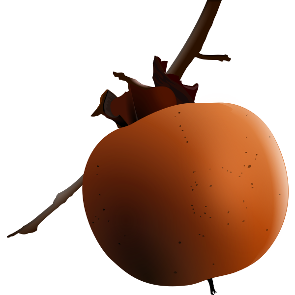 SVG Vector image of apricot