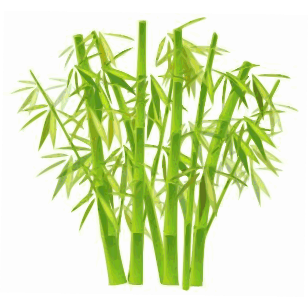 SVG Vector image of bamboo forest