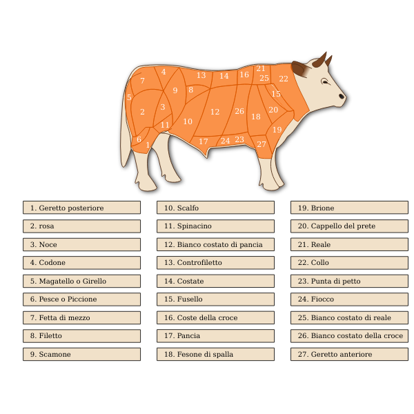 SVG Vector image of beef cuts diagram