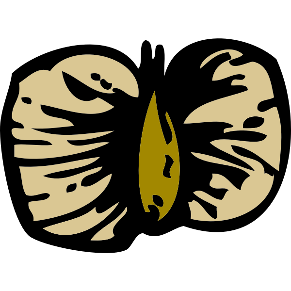 SVG Vector image of birch seed