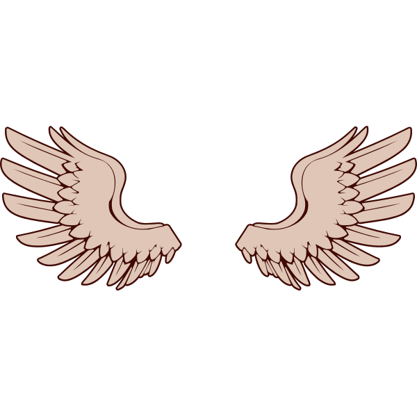 SVG Vector image of bird wings