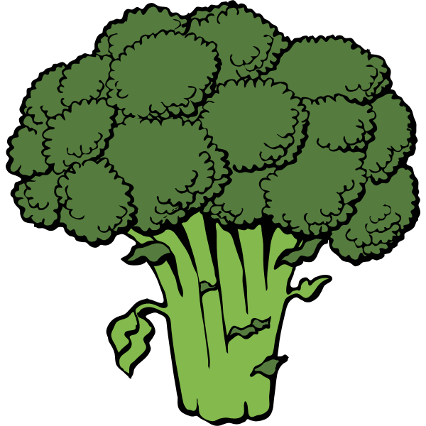SVG Vector image of broccoli
