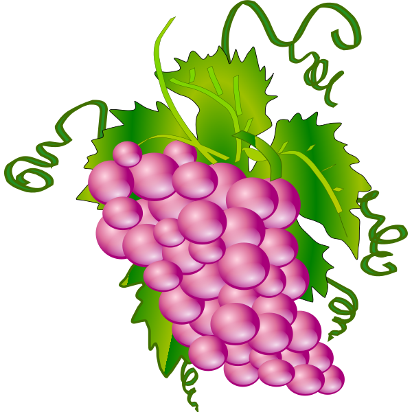 SVG Vector image of bunch of grapes