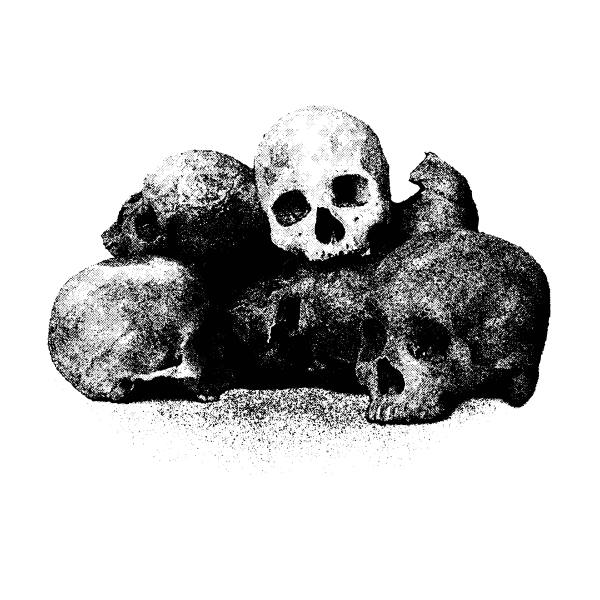 SVG Vector image of bunch of skulls