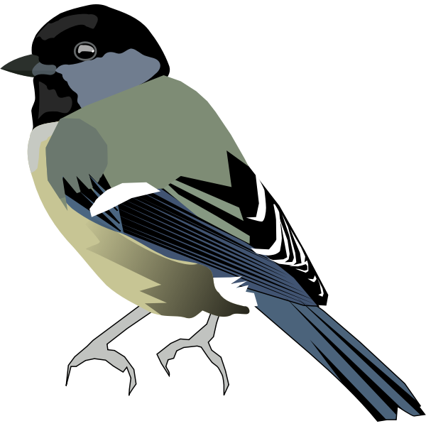 SVG Vector image of colored bird with gray front