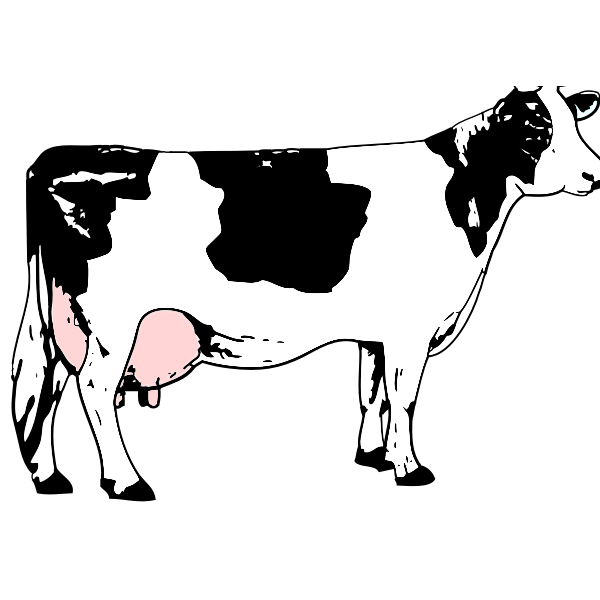 SVG Vector image of cow full of milk