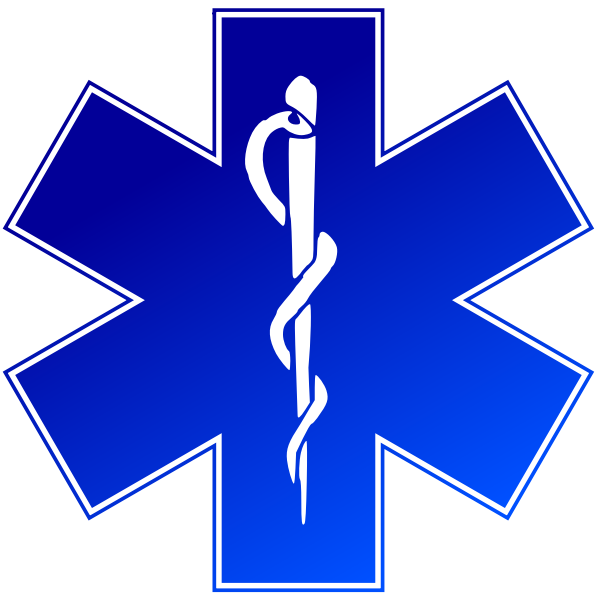 SVG Vector image of emergency medical service