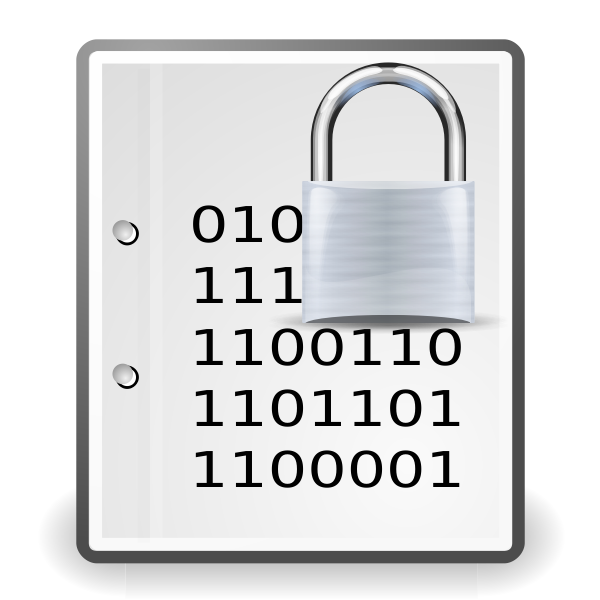SVG Vector image of encrypted document silver icon