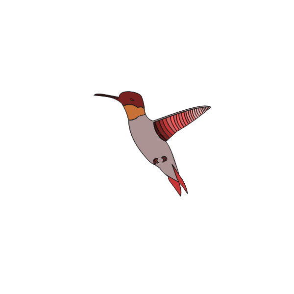 SVG Vector image of flying humming bird