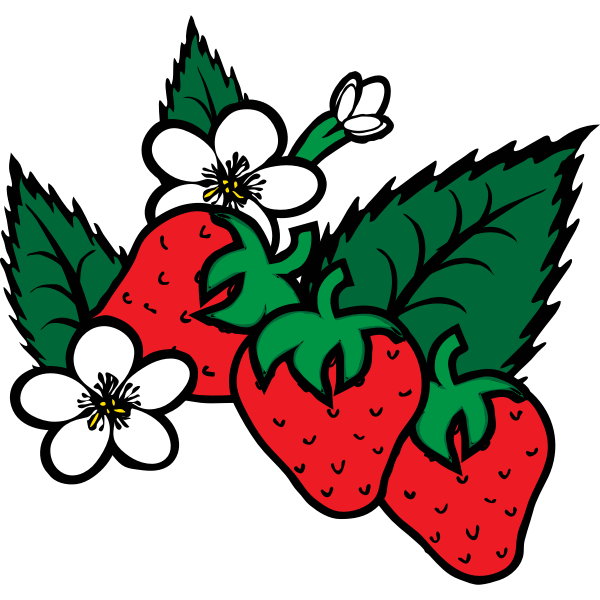SVG Vector image of freshly picked strawberries