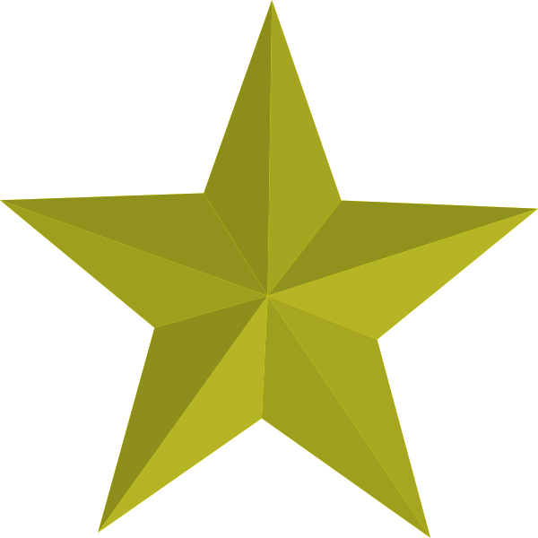 SVG Vector image of golden star