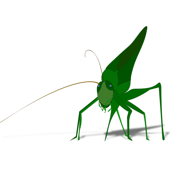 SVG Vector image of green grasshopper