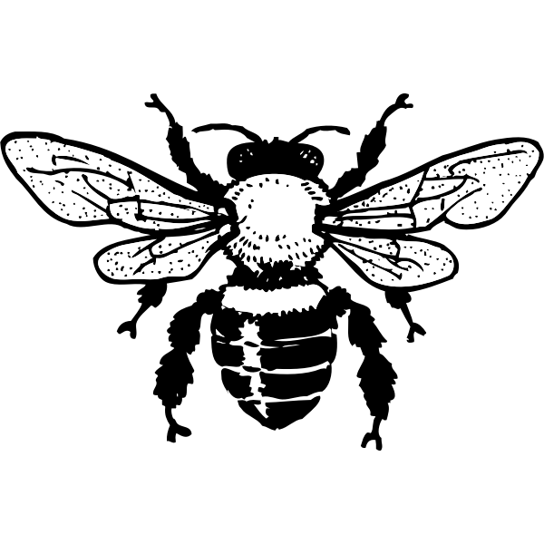 SVG Vector image of honey bee