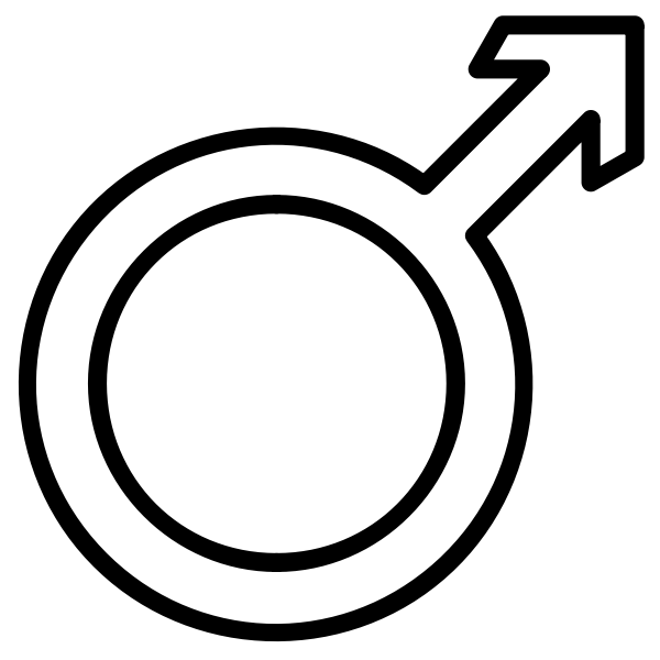 SVG Vector image of international male symbol