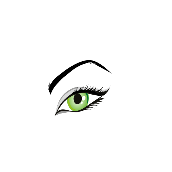 SVG Vector image of ladies green eye with eyebrows