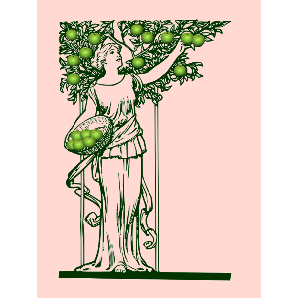 SVG Vector image of lady picking apples