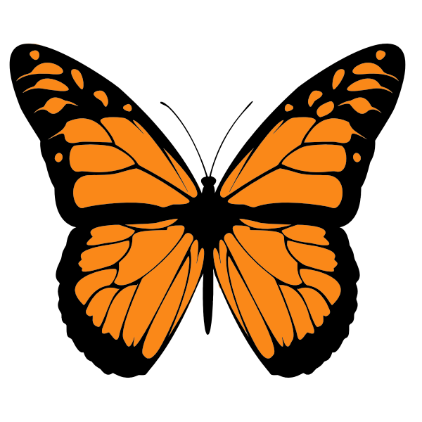 SVG Vector image of orange butterfly with wide spread wings
