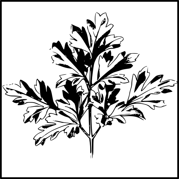 SVG Vector image of parlsey