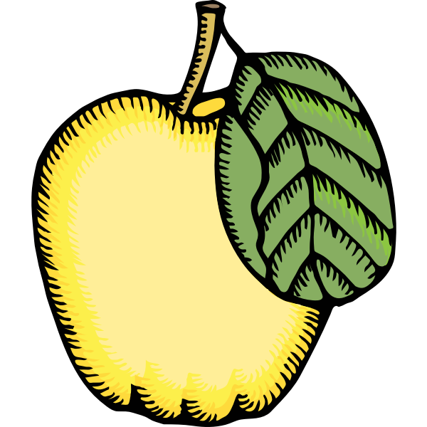 SVG Vector image of quince