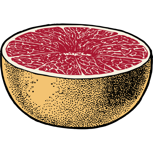 SVG Vector image of red grapefruit cut in half