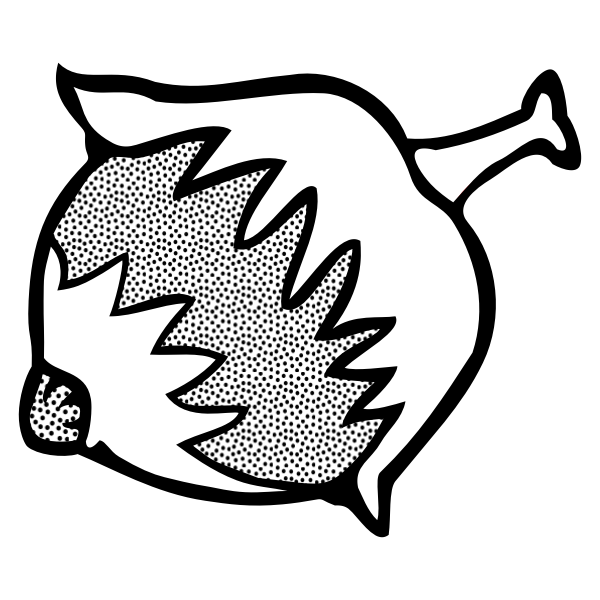 SVG Vector image of ripe hazelnut line art in black and white