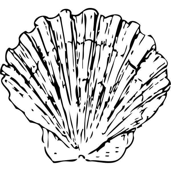 SVG Vector image of scallop shell
