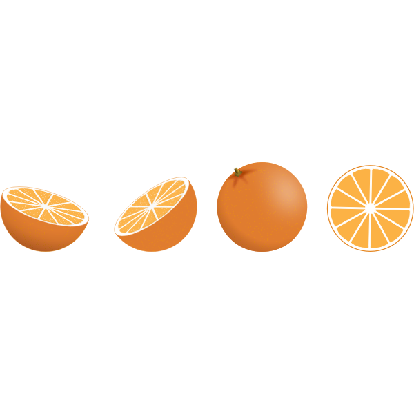 SVG Vector image of selection of orange pieces