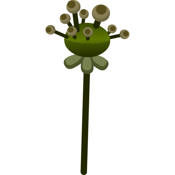 SVG Vector image of shades of green flower like plant