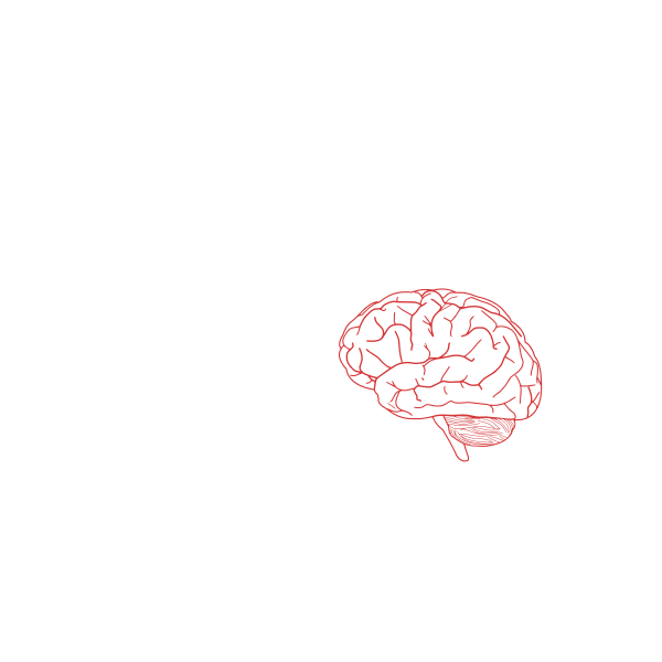 SVG Vector image of side view of human brain in pink