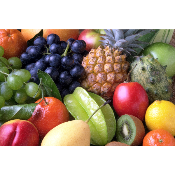 SVG Vector image of smorgasbord of fruits