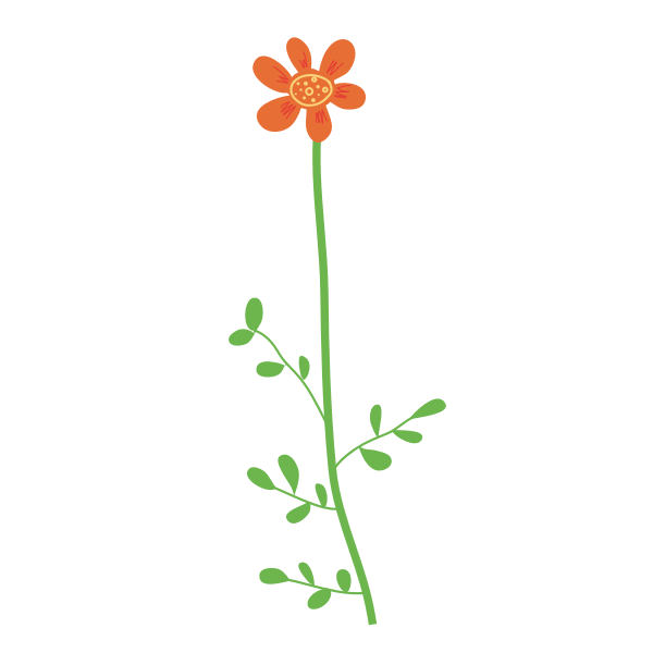 SVG Vector image of soft orange petals flower