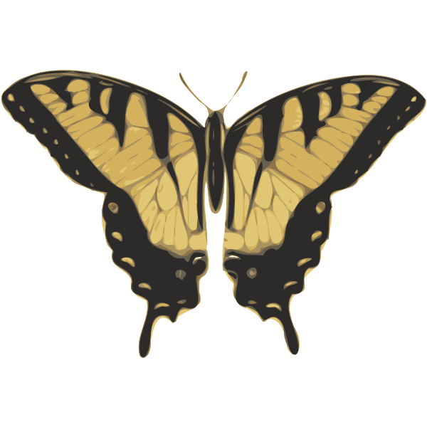 SVG Vector image of tiger pattern butterfly