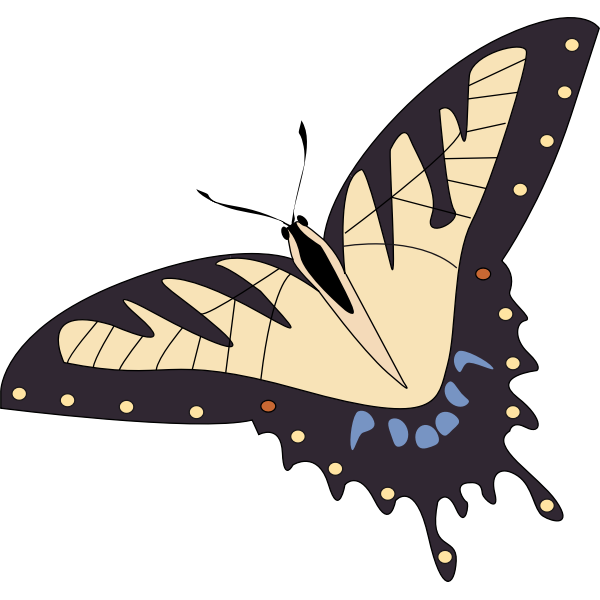SVG Vector image of tropical butterfly