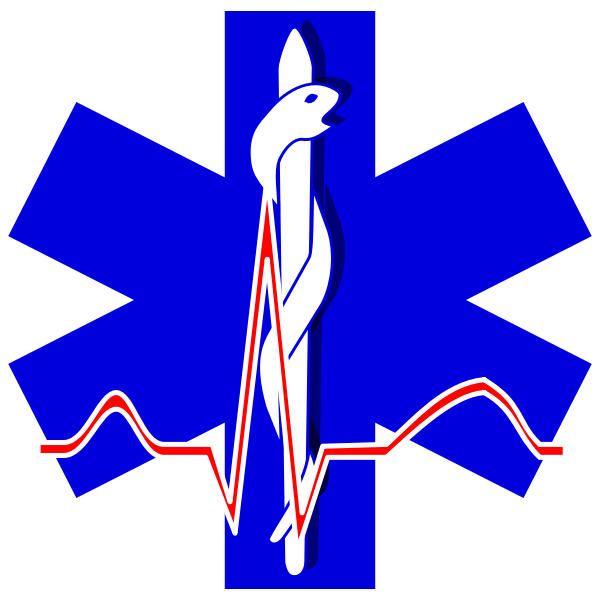 SVG Vector of paramedic cross