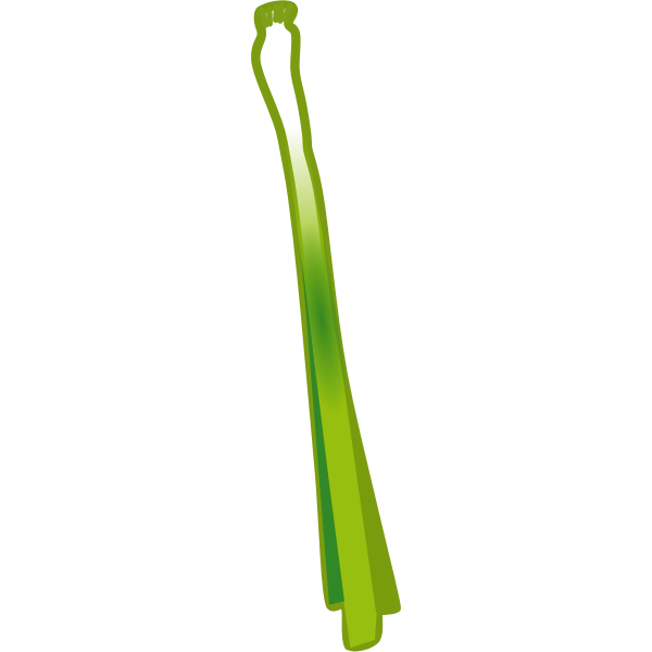 SVG vegetables set