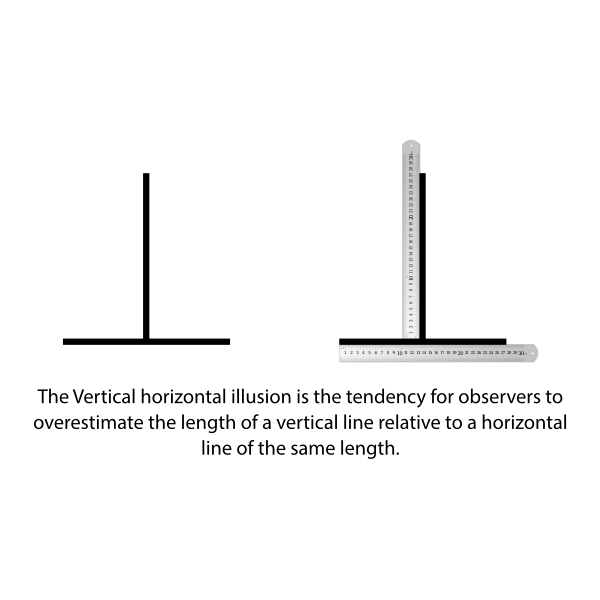SVG Vertical Horiztonal Illusion