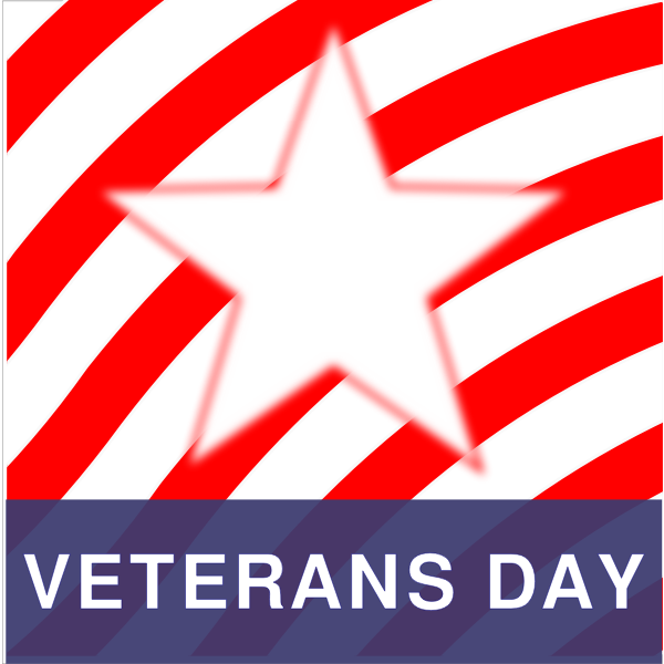 SVG Veterans Day vector image