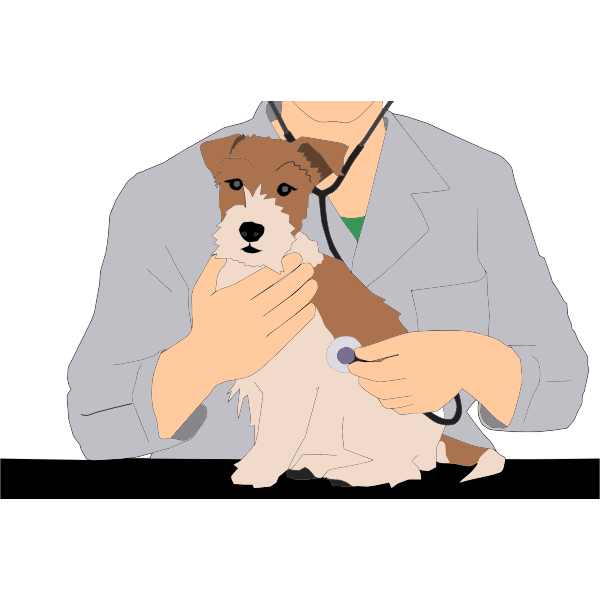 SVG Veterinarian with animal