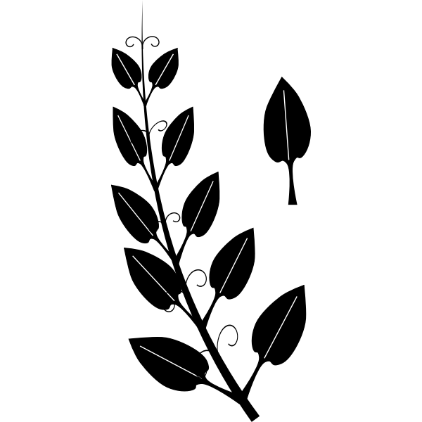 SVG vine opp leaf