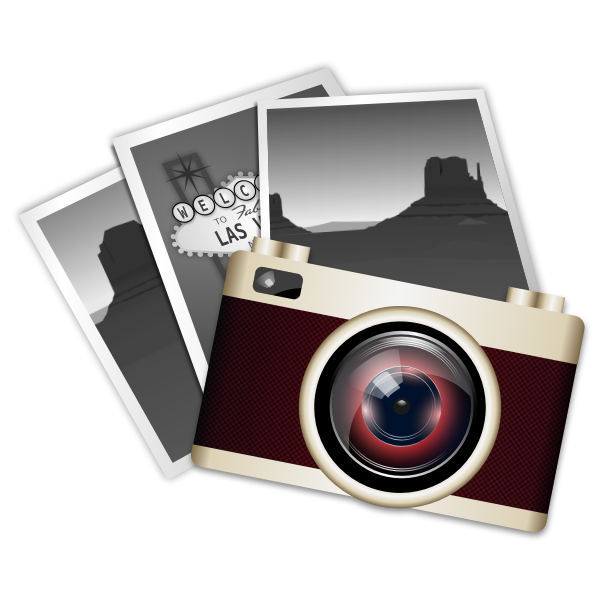SVG Vintage camera icon vector image