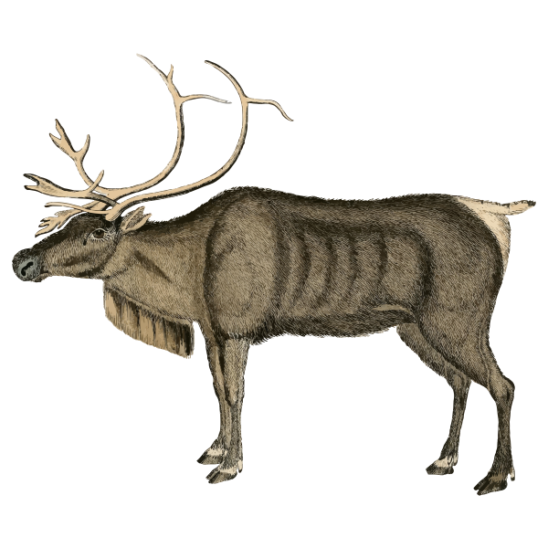 SVG Vintage reindeer