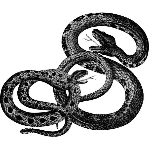 SVG Vintage snakes