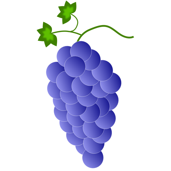 SVG Violet grapes