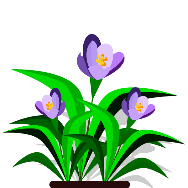 SVG Violets vector image