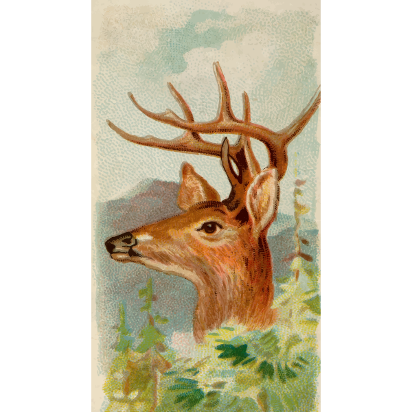 SVG Virginian deer