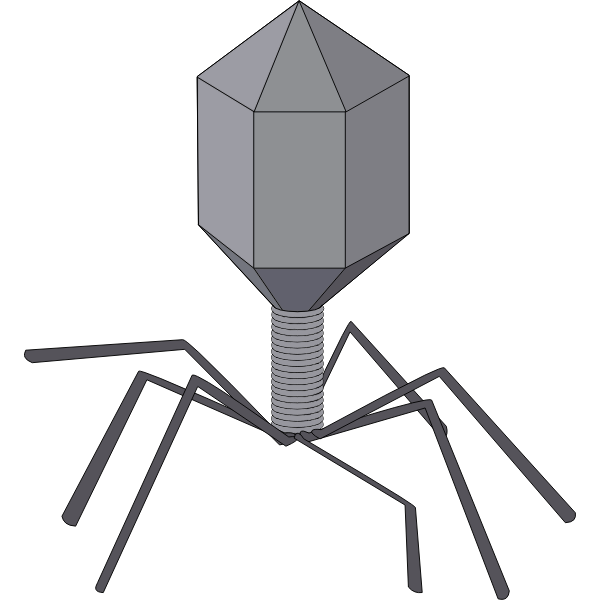 SVG Virus