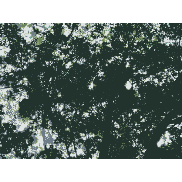 SVG Vision Forum Trees