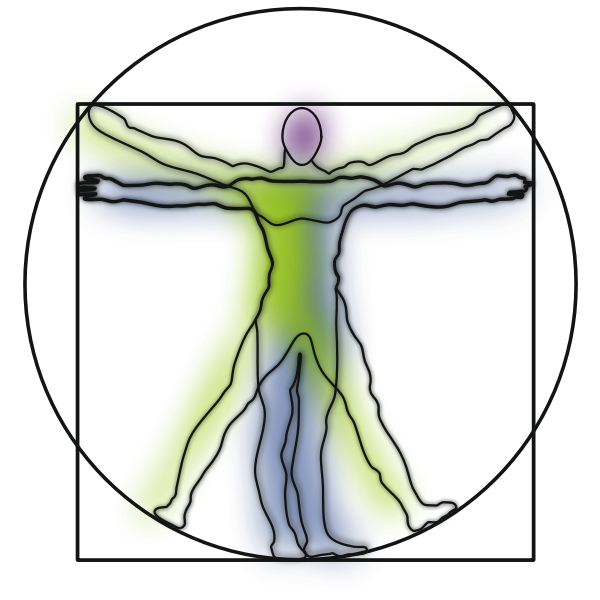 SVG Vitruvian Man