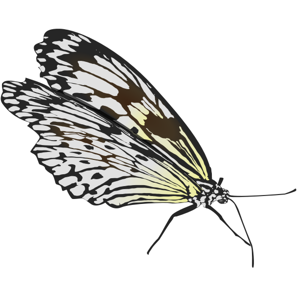 SVG Walking butterfly vector drawing