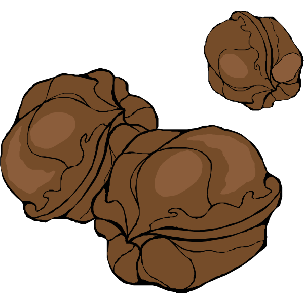 SVG walnuts
